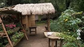 隐居视频,探寻宁静与自然的和谐共鸣