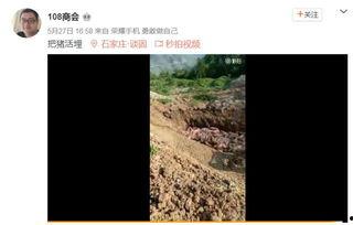 广西活埋猪视频,揭开养殖业残酷真相