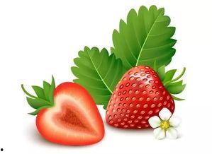 污草莓视频,网络迷雾中的真相与反思