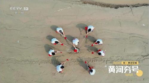 黄河声视频,壮美河山，激荡心灵
