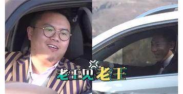 老王视频s,探寻生活智慧与人生哲理
