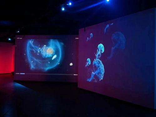 视觉艺术视频,捕捉光影之美，探索艺术无限可能