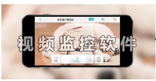 手机视频监控,捕捉生活瞬间，守护安全防线