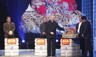 鉴宝视频节目,揭秘古董珍品背后的传奇故事