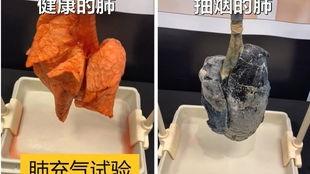 吸烟的肺视频,揭示吸烟对肺部健康的破坏性影响